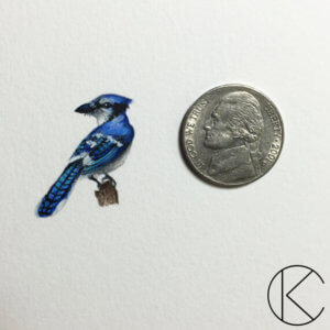 Bluejay Miniature Paintings Kendra Thomas